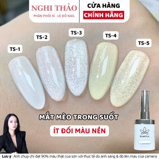 Sơn gel mắt mèo trong suốt ít đổi màu nền RAMYLA Nghi Thảo Nails