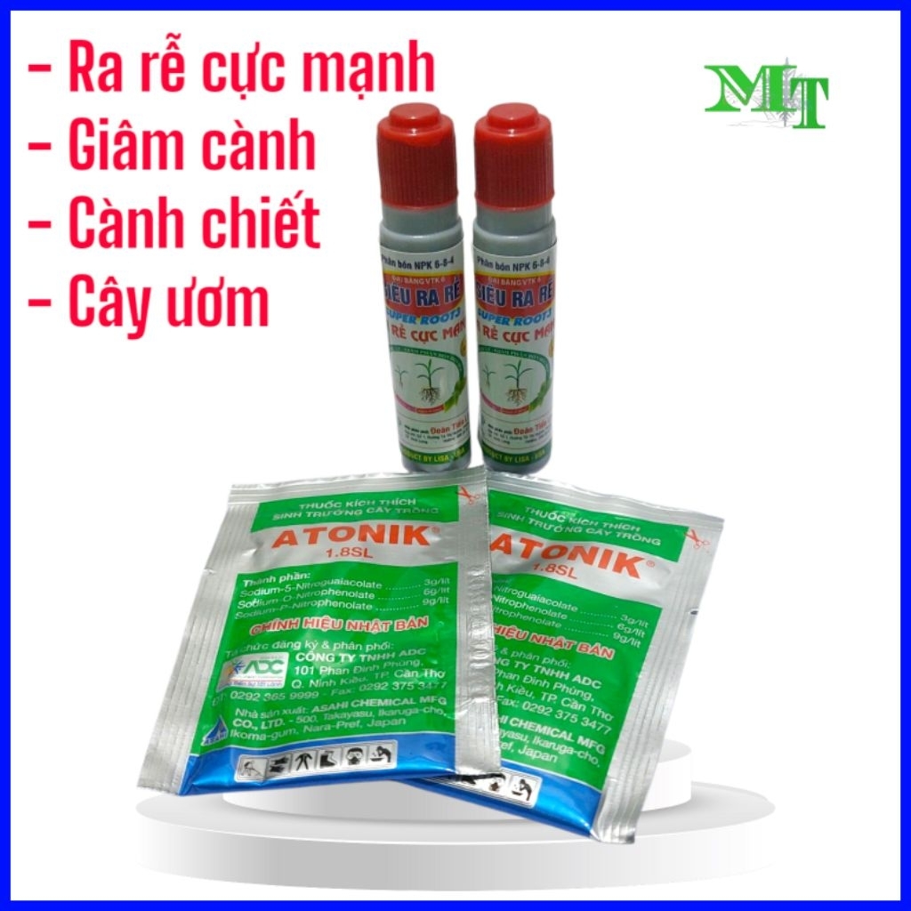 Combo 2 gói atonik + 2 ống kích rễ root 3 mỗi ống 20ml