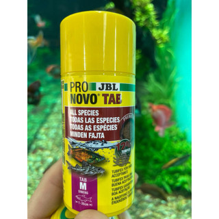 VIÊN DÁN KÍNH JBL NOVO TAB