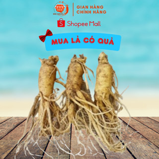  1Kg Sâm Tươi Hàn Quốc 6 Năm Tuổi Nguyên Củ Đủ Size - DHC Korea Ginseng 