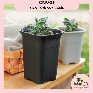 Chậu nhựa cao cấp trồng cây | 3 kích thước | 3 màu | CNV01 || mocminigarden