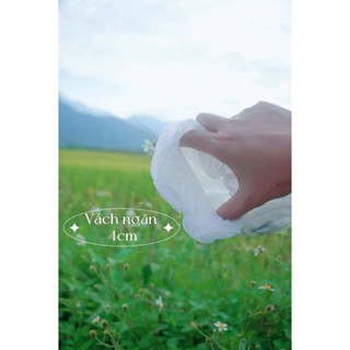 Tã Bỉm Quần HANA GOLD  Êm Mềm, Siêu Khô Thoáng, An Toàn Cho Bé NB/S/M/L/XL/XXL/XXXL cho bé 5 - 30KG