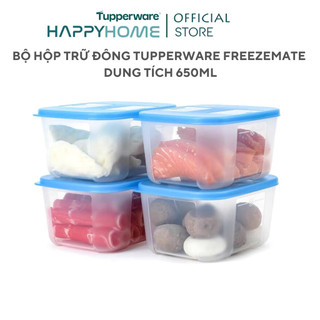  Bộ Hộp Trữ Đông Tupperware Basic 650ml Chính Hãng - Nhựa Nguyên Sinh An Toàn Cho Sức Khoẻ 