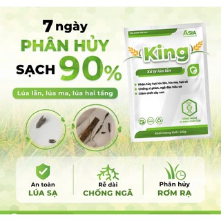 KING Xử lý lúa lộn, lúa ma, lúa 2 tầng (SP0087) Chế phẩm sinh học ASIA 410g
