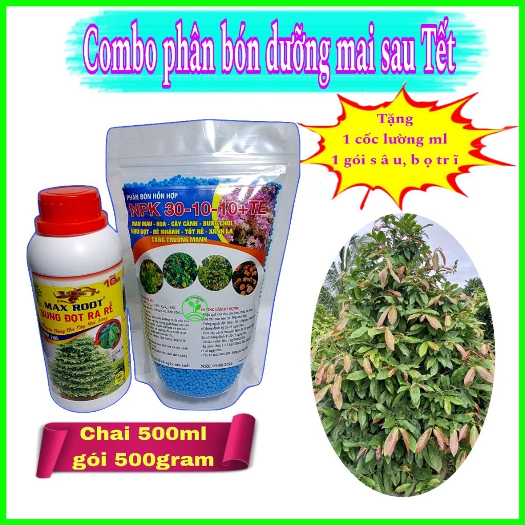 Combo phân bón chăm sóc mai vàng gồm 1 chai maxroot và phân bón Npk 30.10.10 +Te