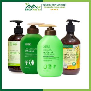  Dầu gội đầu cỏ cây hoa lá hà thủ ô. gừng dừa gừng sả bưởi trà giảm rụng tóc và hỗ trợ mọc tóc con 
