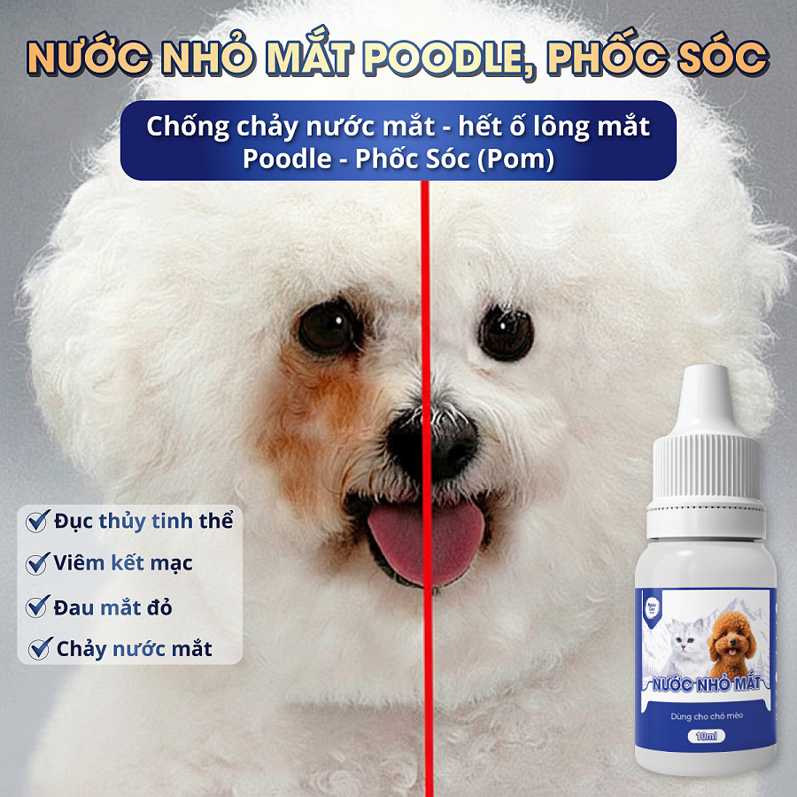 Nhỏ Mắt Cho Chó Poodle Phốc Sóc MasterCare Chống Chảy nước Mắt, Hết Ố Lông Mắt, Giảm Viêm, Sạch Gỉ