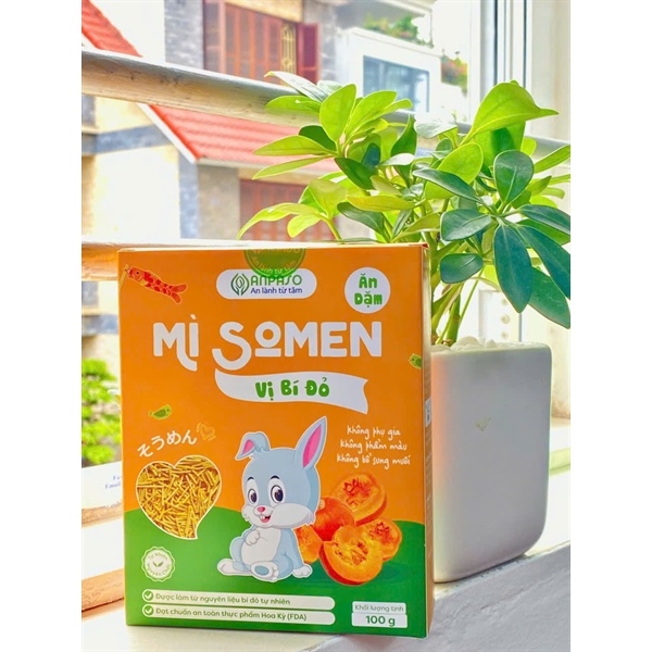 [LV] Mì Somen Cho Bé Anpaso – Không Chiên Dầu – Rau Củ Hữu Cơ Tốt Cho Tiêu Hóa