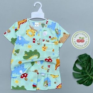 [Ảnh thật][9-40kg] Bộ tole/lanh đùi bé trai