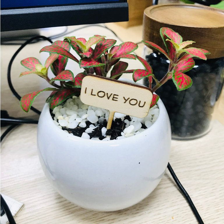 TAG NAME - TAG NAME CẮM TRANG TRÍ CÂY - CÓ IN CHỮ THEO YC - OHADECOR