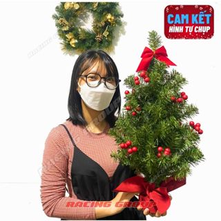 Cây Thông Noel Mini Xanh Gắn Trái Đỏ Cao 40CM,60CM Trang Trí Decor Dịp Giáng Sinh Noel Để Bàn 2025