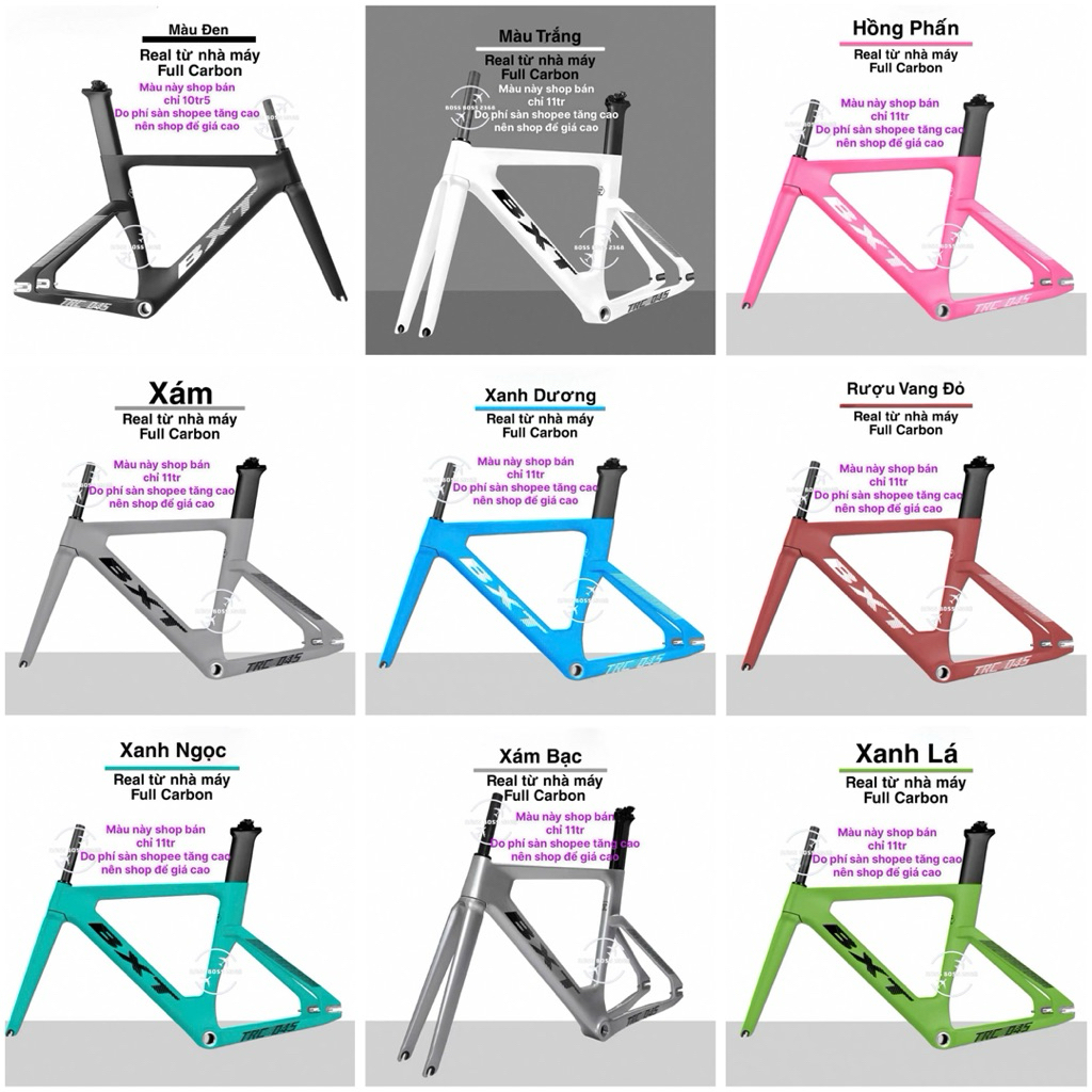 khung xe fixed gear BXT full carbon Real