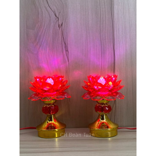 ĐÈN THỜ HOA SEN TRÁI CHÂU(1CẶP) TC01