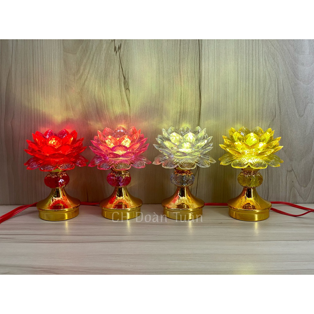 ĐÈN THỜ HOA SEN TRÁI CHÂU(1CẶP) TC01