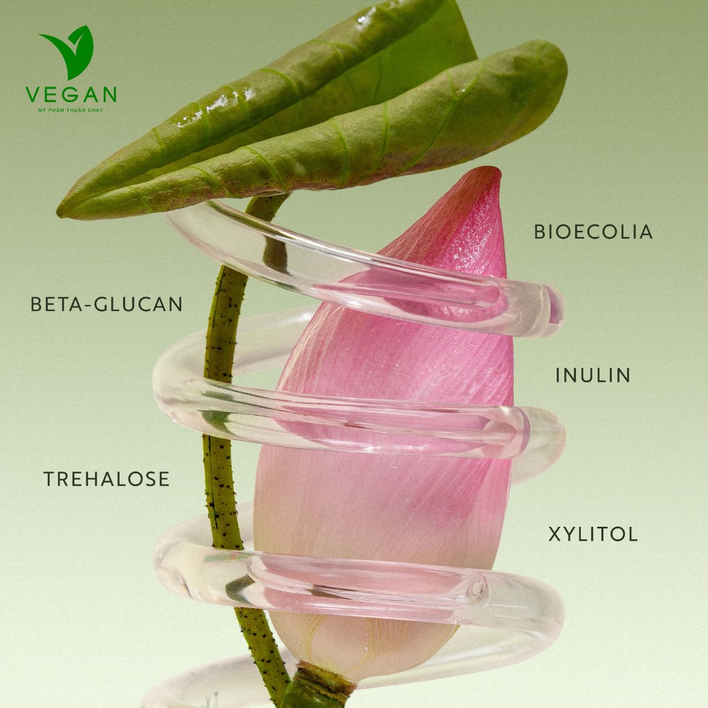 Nước tẩy trang sen Hậu Giang Sạch Bụi Siêu Mịn, Dịu Êm Cho Da Rất Nhạy Cảm Cocoon 500ml | BigBuy360 - bigbuy360.vn