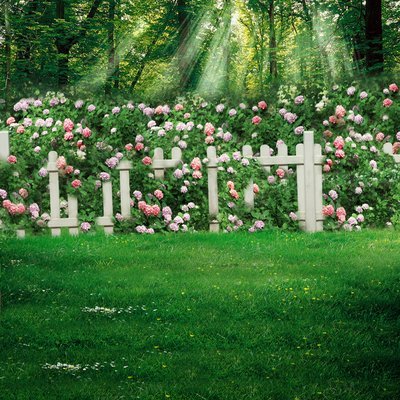 Tranh phong cảnh hoa cỏ lúc hoàng hôn, hình nền phong cảnh phòng khách, hình nền TV, hình nền phòng 