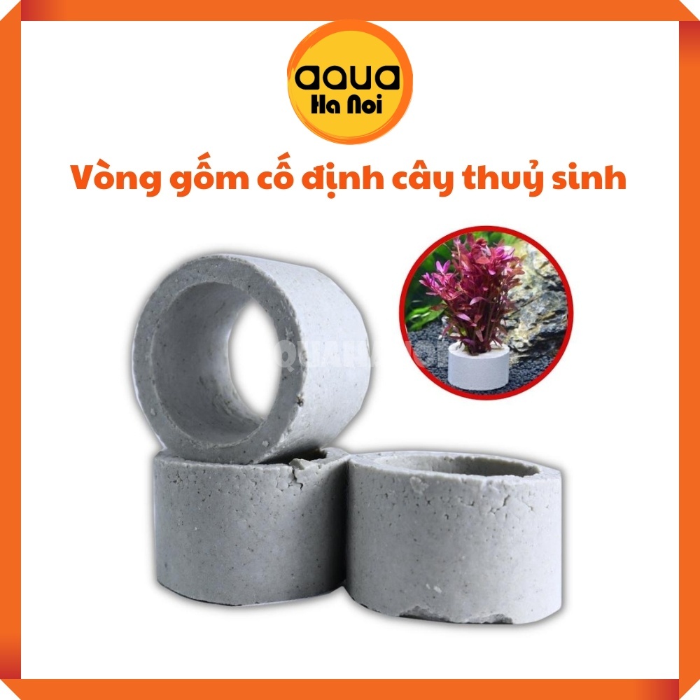 Vòng gốm cố định cây thủy sinh - Giúp cố định cây cắt cắm, rêu, ráy, dương xỉ, bucep thuỷ sinh