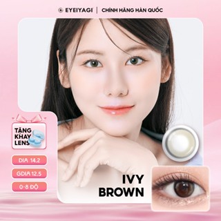 Kính áp tròng EYEIYAGI lens nâu trà đen Ivy Brown cận 3 tháng độ cận 0-8 DIA 14.2mm | Lens chính hãng Hàn Quốc