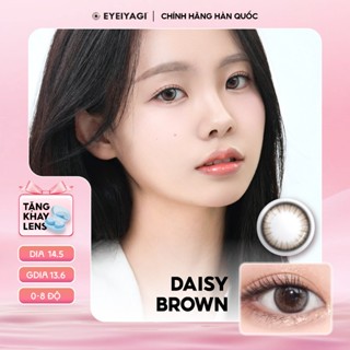 Kính áp tròng EYEIYAGI lens nâu pha xám Daisy Brown giãn tròng 14.5mm, lens cận 3 tháng có lệch độ