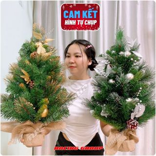 Cây Thông Noel Mini 60CM 3 Loại Lá Lăn Kim Tuyến Cao Cấp Trang Trí Decor Giáng Sinh Noel Để Bàn 2025
