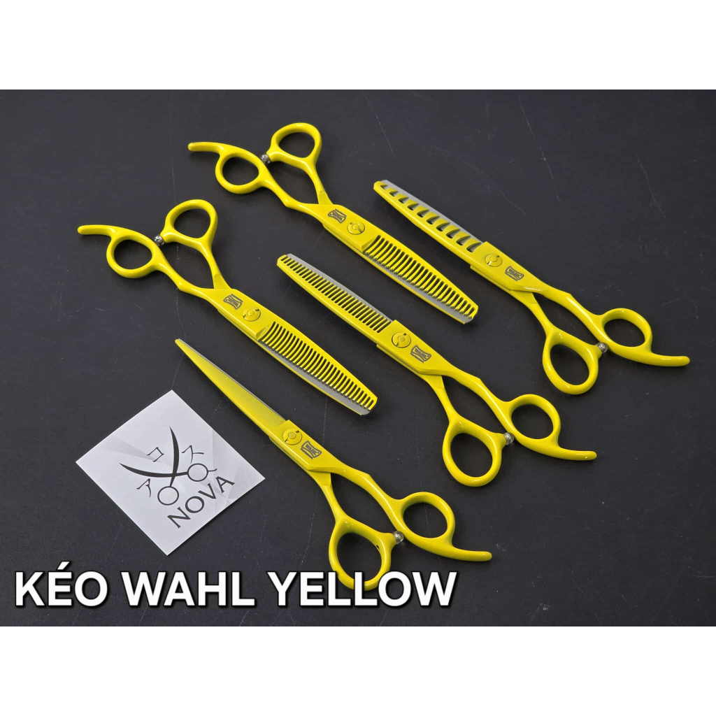 Kéo cắt tóc WAHL vàng