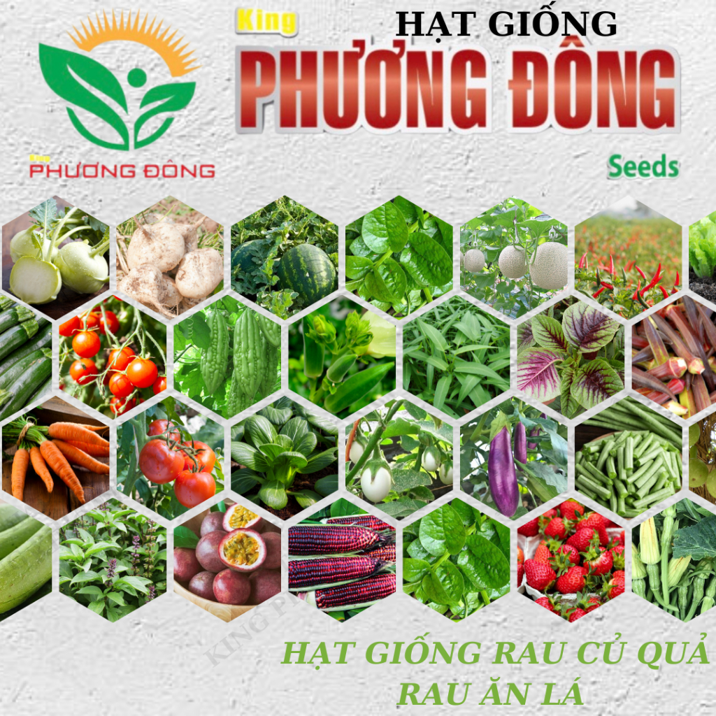 TỔNG HỢP HẠT GIỐNG RAU ĂN LÁ - CỦ QUẢ CÁC LOẠI - HẠT GIỐNG KING PHƯƠNG ĐÔNG NĂNG SUẤT CAO, TỈ LỆ NẢY MẦM TỐT- VEGETASHOP