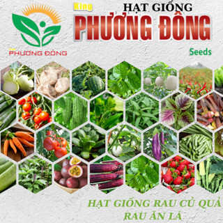 TỔNG HỢP HẠT GIỐNG RAU ĂN LÁ - CỦ QUẢ CÁC LOẠI - HẠT GIỐNG KING PHƯƠNG ĐÔNG NĂNG SUẤT CAO, TỈ LỆ NẢY MẦM TỐT- VEGETASHOP