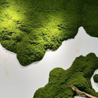  Thảm rêu trang trí làm tường sen đá tiểu cảnh .Tấm rêu giả 