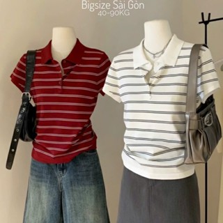  Áo Thun Nữ Cổ Polo Phối Sọc Vải Thun Gân Tăm 45-95Kg Có Bigsize Dễ Thương Top Women - B.1604 