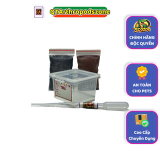 Bộ Kit Nuôi Tarantula (N03) Chính Hãng SCOZOO Cao Cấp Chuyên Dụng