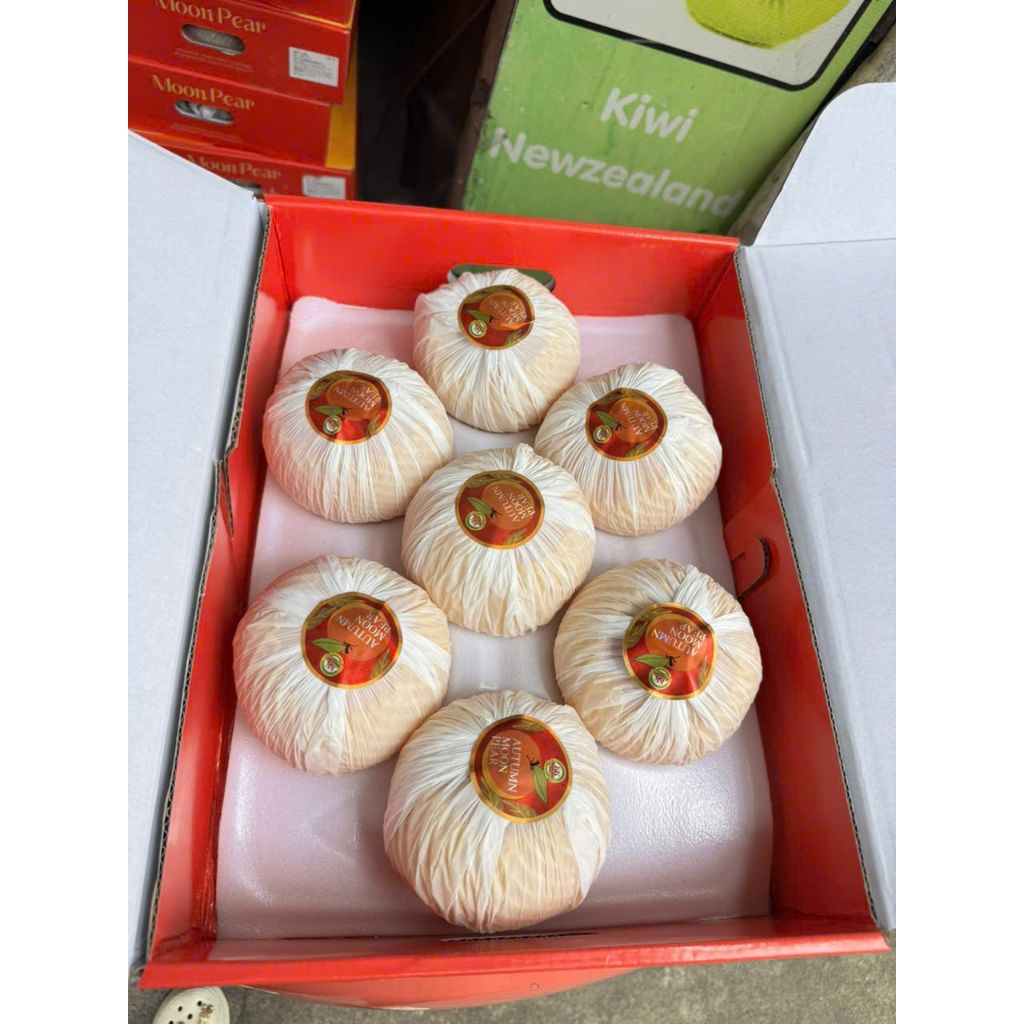 [ JENNY FRUIT ] Thùng Lê Nhật giòn ngọt - thùng 4kg