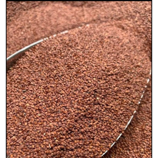  1kg hạt ngũ hoa hạt to hạt đình lịch 