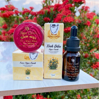  Combo Ngọc Oanh    kem face & tinh dầu   tặng 4OM bông tẩy trang 