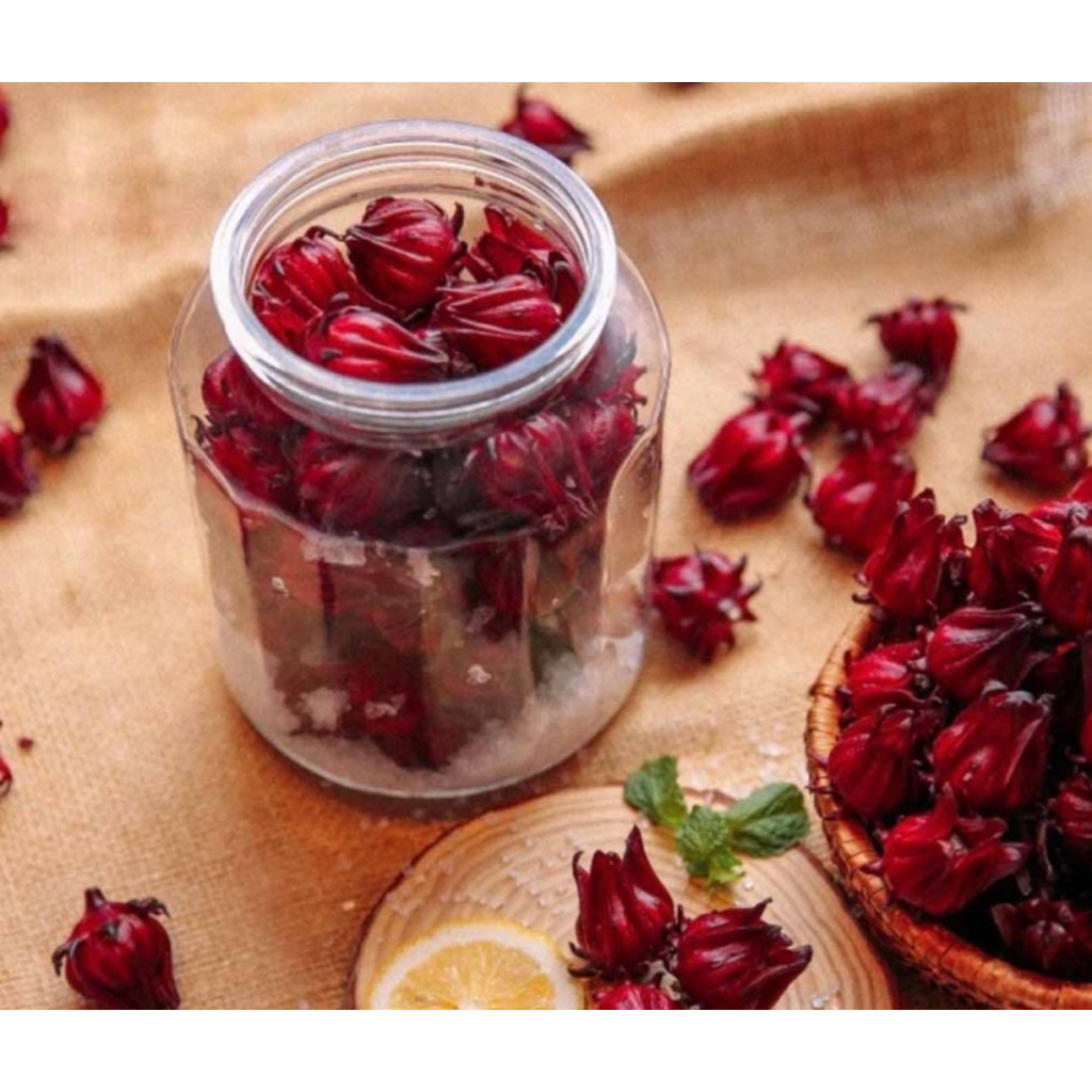 Sấy Khô Nguyên Nụ – Hoa Bụp Giấm Khô Loại Đẹp 🌺 Nguyên Bông – Không Lá