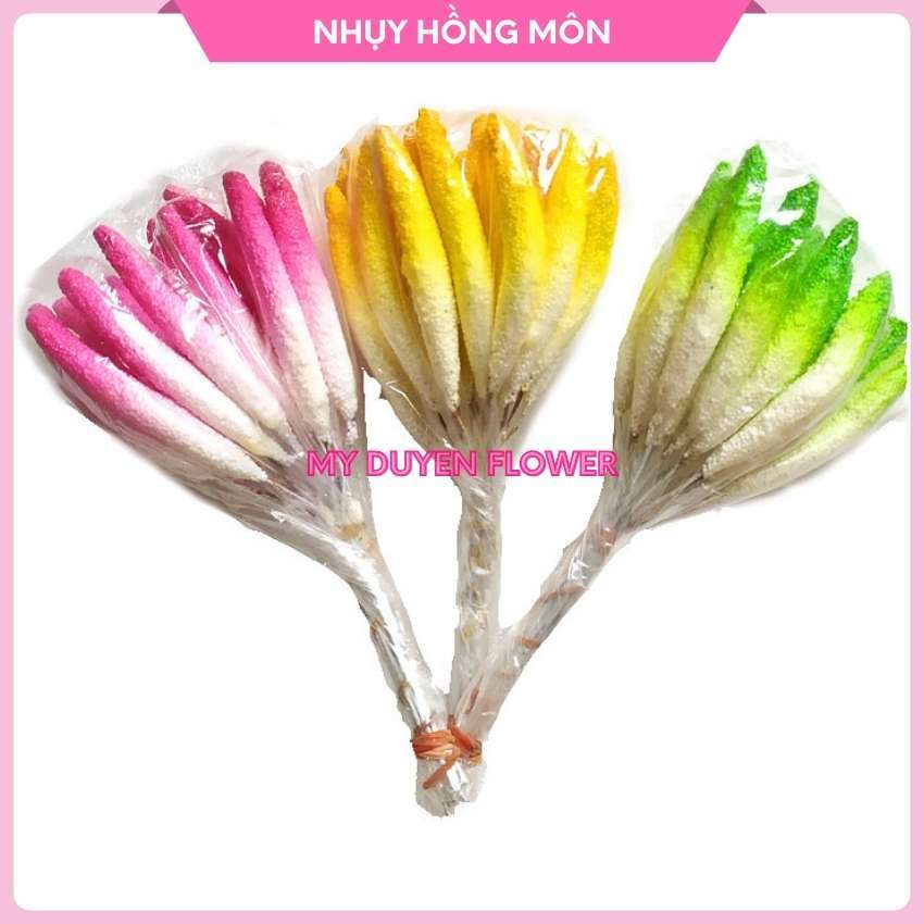 NHỊ HỒNG MÔN LÀM HOA