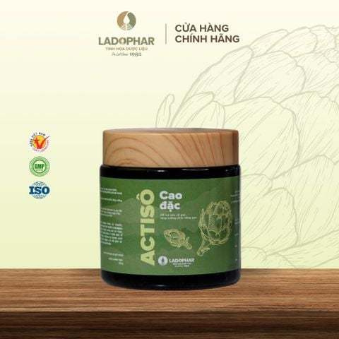 [CHÍNH HÃNG] Cao Đặc Actiso Đà Lạt Ladophar - Hỗ trợ giải độc gan và thanh lọc cơ thể -  (Hũ 120g)
