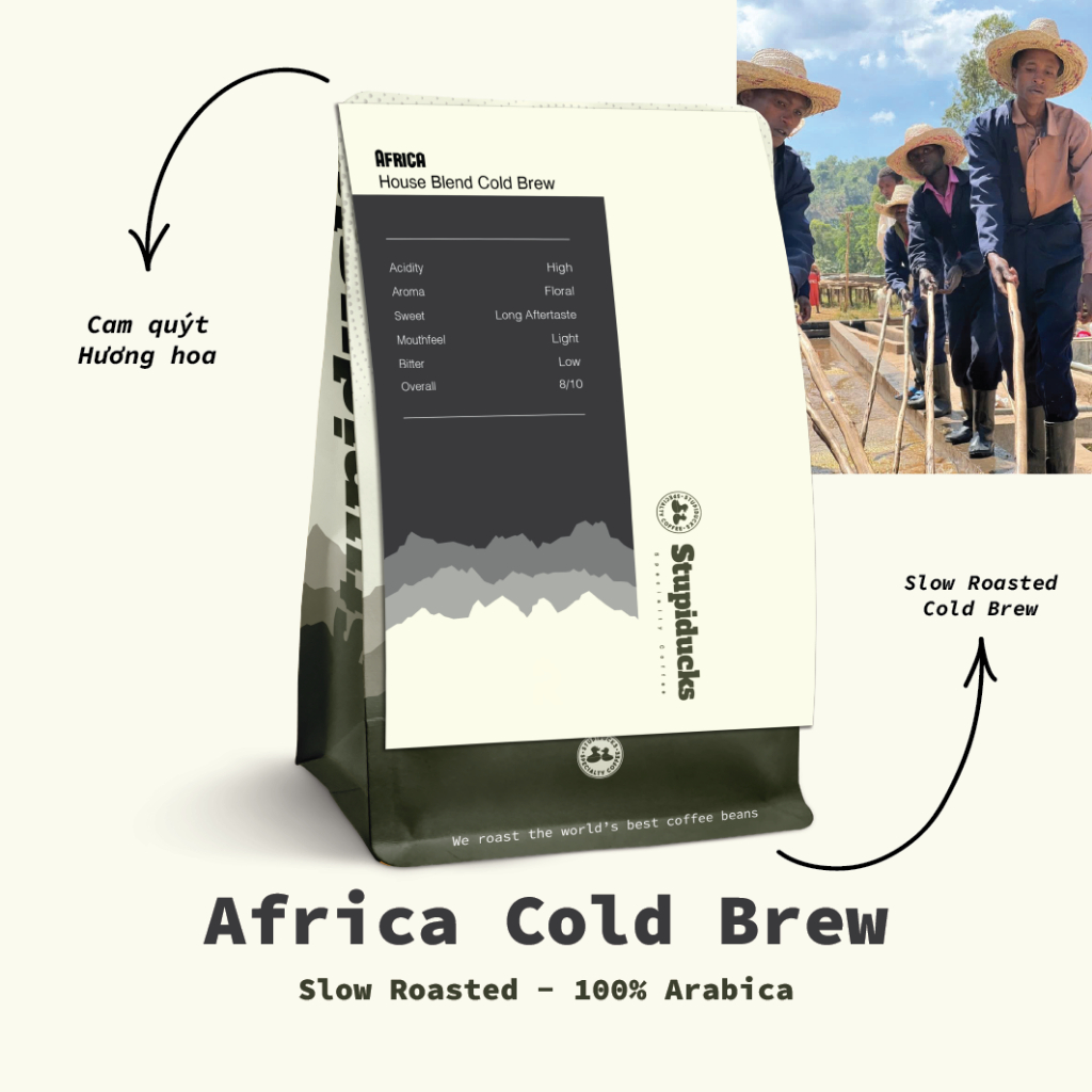 Cà phê pha Cold Brew Africa - Stupiducks Specialty Coffee ( SSC Roaster) - Tặng túi vải lọc