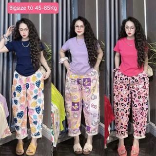   Bigsize 45-85kg  Set đồ bộ nữ mặc nhà áo thun tăm viền cổ tay phối quần dài dáng baggy hoạ tiết 