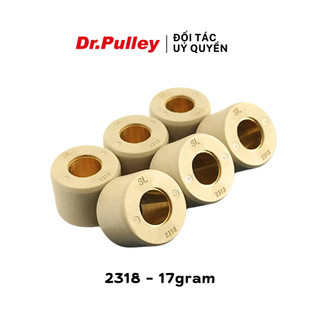 Bi côn hay bi nồi tròn Dr.Pulley mã 2318 - 17gram cho xe Honda SH 300/350