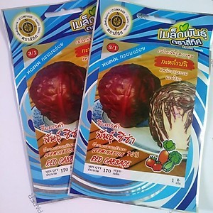 Hạt giống rau Bắp Cải Tím Salad giòn ngọt nhập Nguyên gói Thái Lan (Red Cabbage)
