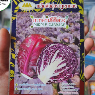 Hạt giống rau Bắp Cải Tím Salad giòn ngọt nhập Nguyên gói Thái Lan (Red Cabbage)