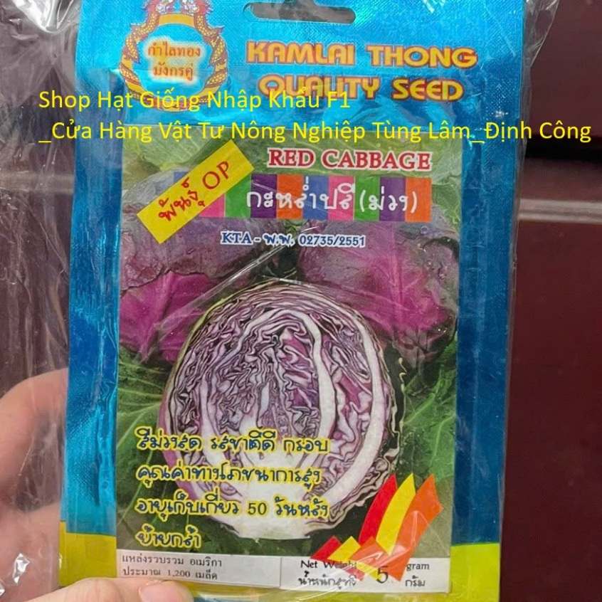 Hạt giống rau Bắp Cải Tím Salad giòn ngọt nhập Nguyên gói Thái Lan (Red Cabbage)