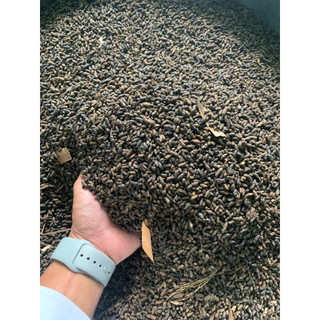  Phân dơi nguyên chất 2kg  