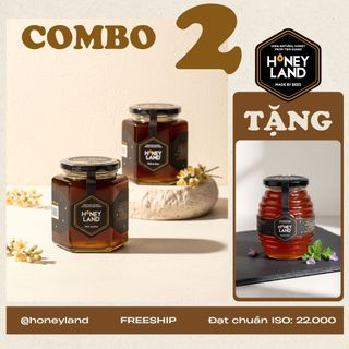  Hũ Mật Ong Hoa Nhãn Honeyland 480g Mật Ong Thiên Nhiên 