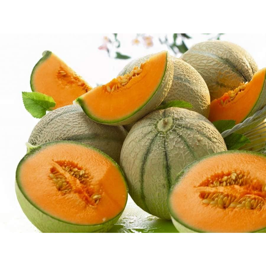 Hạt giống Dưa Lưới Bóng Rổ (Dưa Lưới Sọc Ruột Cam) vỏ mỏng siêu ngọt nhập Thái Lan gói 35 hạt (Melon