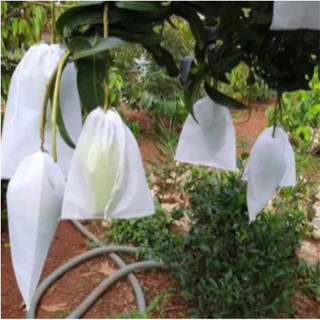    SIÊU RỂ  100 Túi Bọc Bưởi Bao Bọc Xoài Ổi Vải Không Dệt Kèm Dây rút Bảo Vệ Trái Cây Chống Côn Trùng Chim 