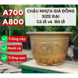 [Size lớn] Chậu nhựa giả đồng A700 A800 trồng cây, nuôi cá, trồng sen, bền chắc, sang trọng