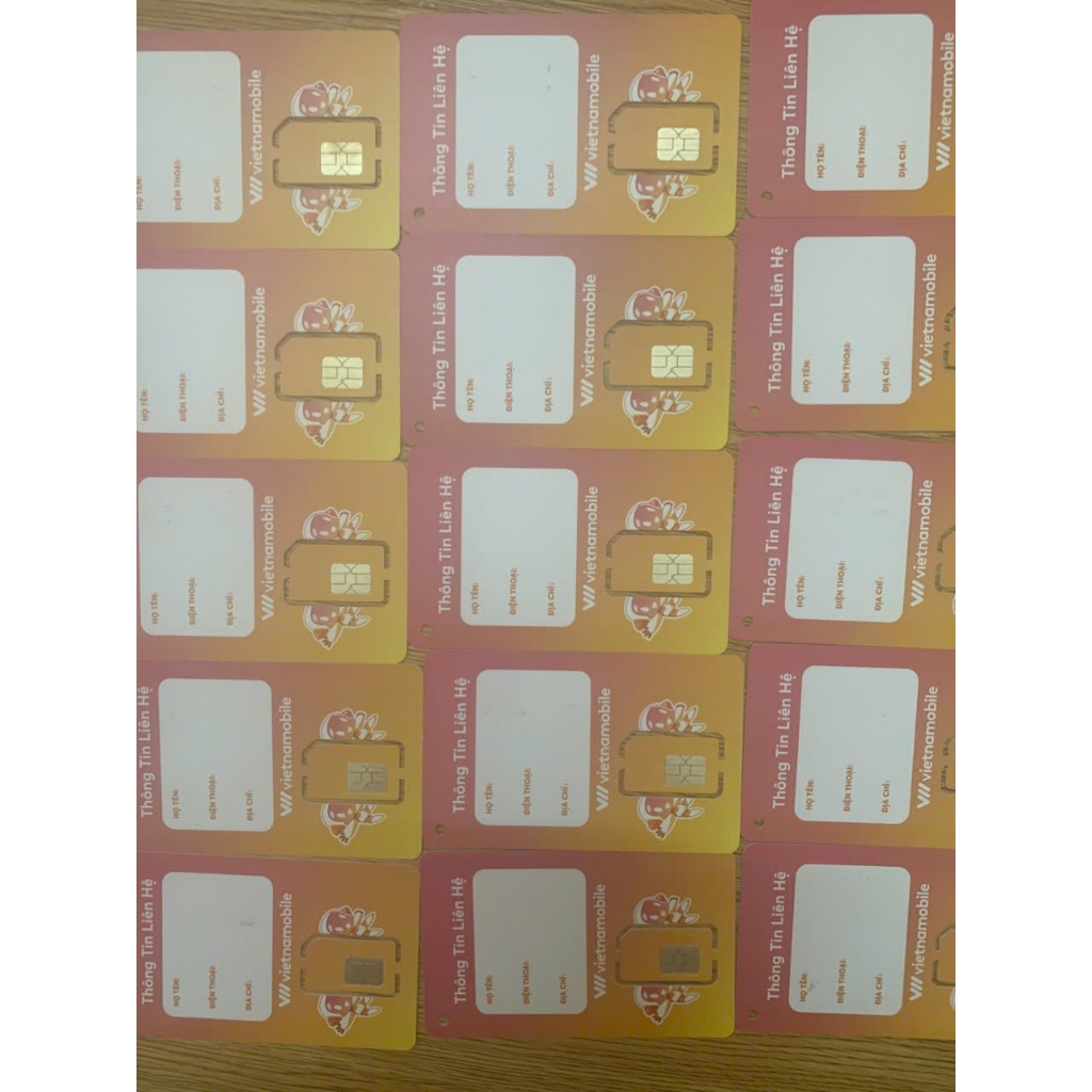 sim vietnammobile hạn 1 tháng