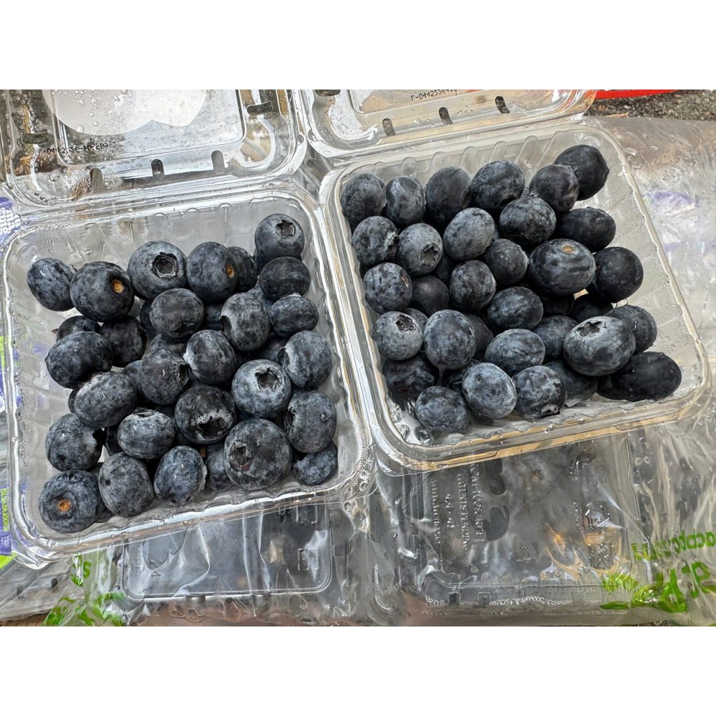Việt quất 125g về hàng