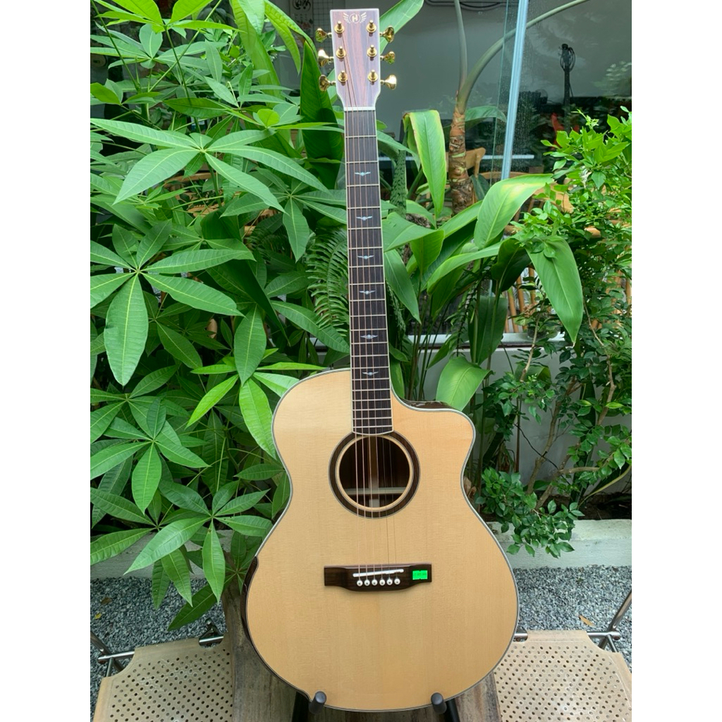 GUITAR ACOUSTIC CAPTION 4